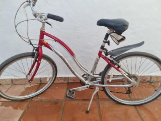 Bicicleta Urbana Roja y Plateada