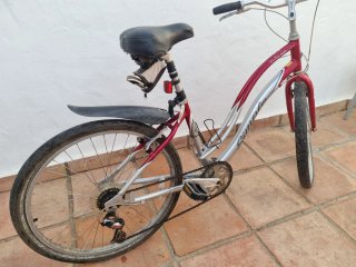 Bicicleta Urbana Roja y Plateada