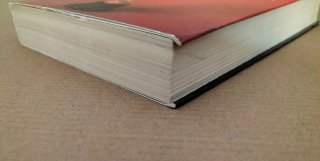 El sueño de una estrella. Libro