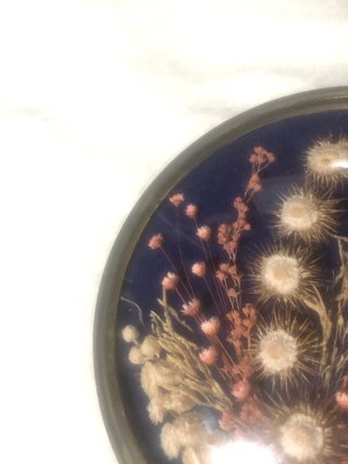 Quadro Vintage Flores Secas Vidro Bombê