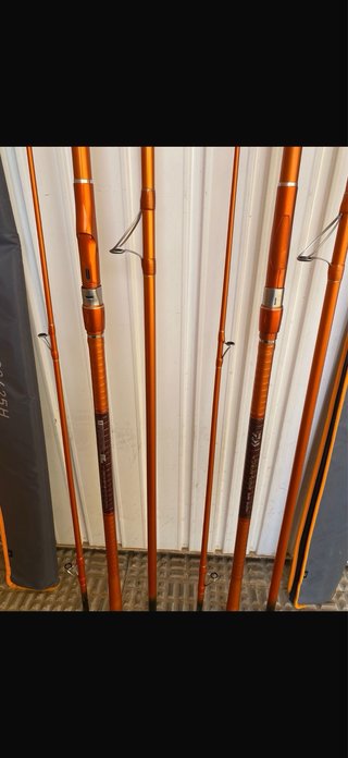 Cañas de pesca Daiwa CAST'IZM SURF 33425H