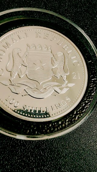 Leopardo Africano 1 Oz 9999 Plata 2021