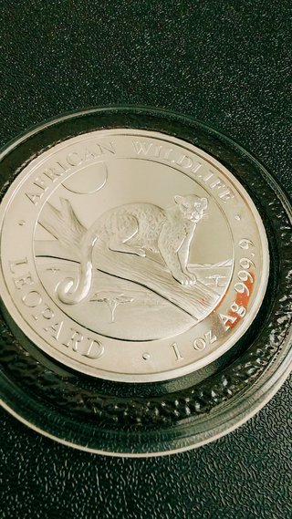 Leopardo Africano 1 Oz 9999 Plata 2021