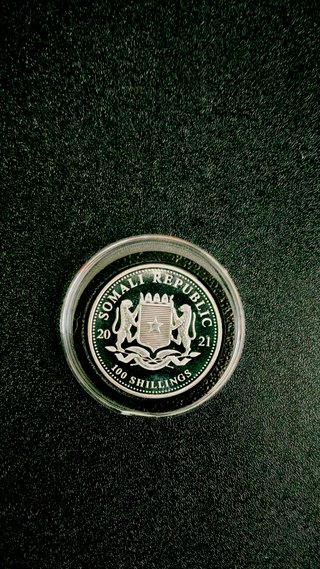Leopardo Africano 1 Oz 9999 Plata 2021