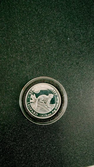 Leopardo Africano 1 Oz 9999 Plata 2021