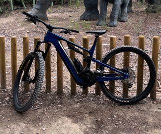 Cannondale neo Carbon 750W Talla L