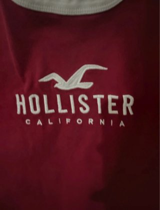 Maglia Hollister Uomo