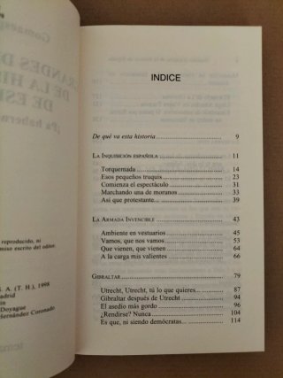 Grandes disgustos de la Historia de España. Libro