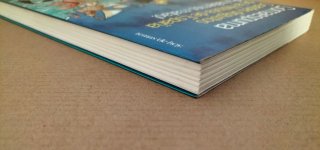 Grandes disgustos de la Historia de España. Libro