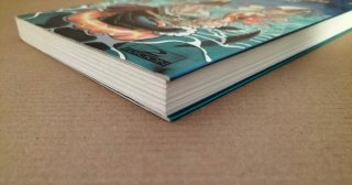 Grandes disgustos de la Historia de España. Libro