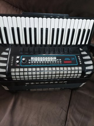 Acordeón Excelsior 120 Bajos Amplificado y MIDI