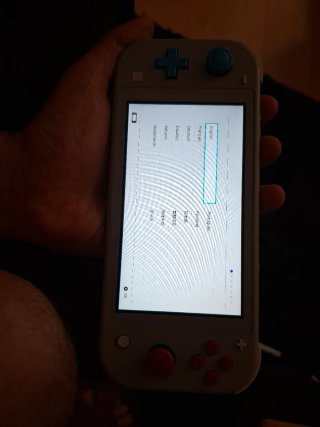 Nintendo Switch Lite Pokémon Edizione Grigia
