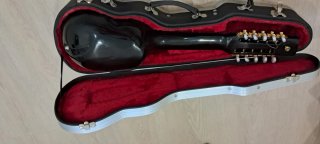 Charango Profesional Nuevo