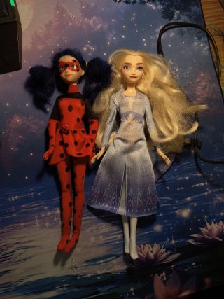 Bambole Ladybug e Elsa