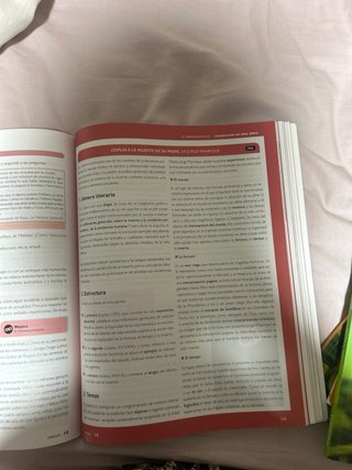 Lengua castellana y literatura 1, Le Bachillerato