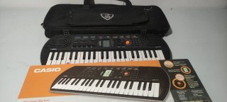 Órgano Casio SA-77 con funda