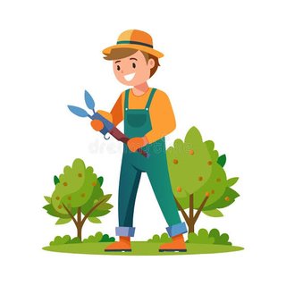Jardineria