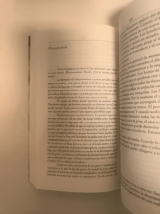 Las nueve caras del corazón