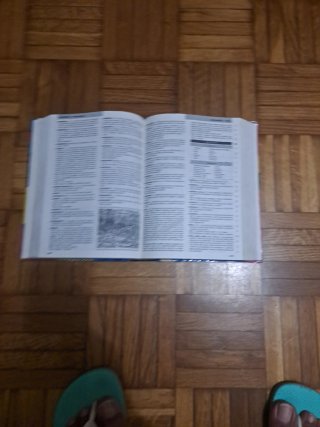 Diccionario escolar de la lengua española