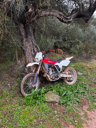 Husqvarna TE 250 Enduro Moto 2006