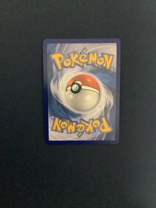 M Gyarados EX PSA 8 + Ceruledge + Carta Coreana