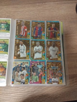 Álbum Panini Adrenalyn XL 24-25