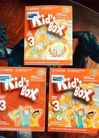 Kid's Box Level 3 Activity Book with CD ROM and...
