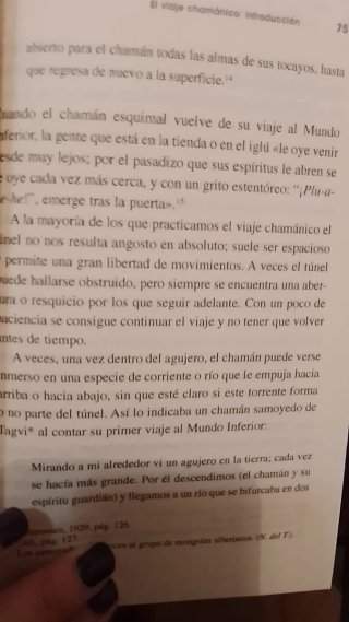 La senda del chamán