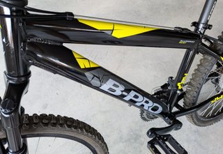 Bicicleta B-PRO M-24