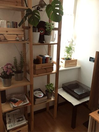 Scaffale componibile IKEA IVAR legno