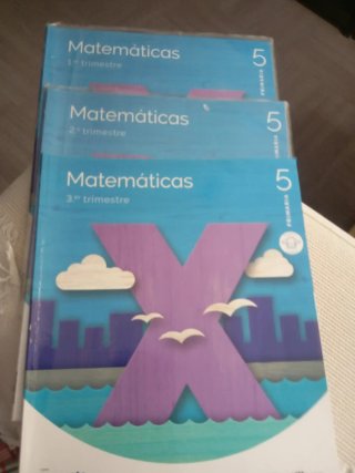 MATEMATICAS M LIGERA 5 PRIMARIA CONSTRUYENDO MU...