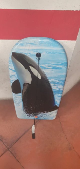 Tabla de surf orca
