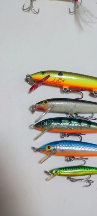 Lotes Rapala