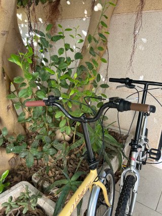 Bicicletas plegables 2 unidades