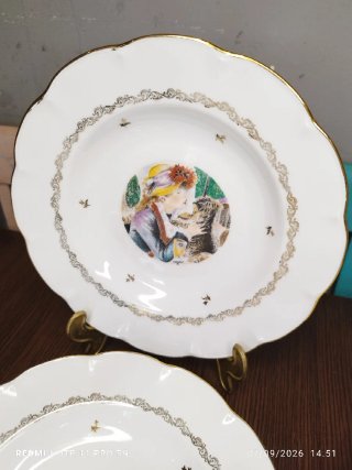 LIMOGES 6 Platos Hondos  más 3 de postre vintage