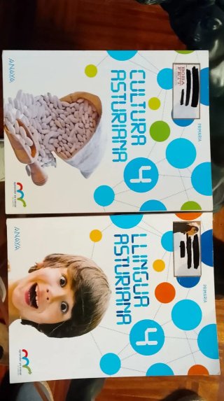 Llingua asturiana, 4 Primaria