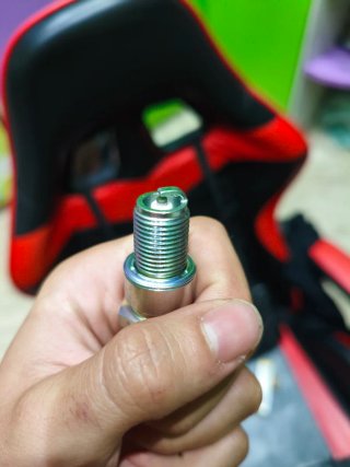 Candela NGK B7ES