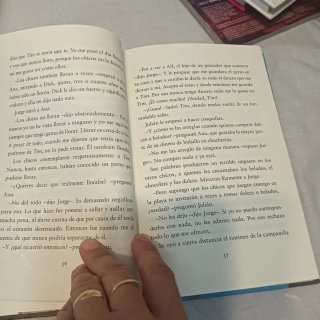 Los Cinco y El Tesoro de La Isla