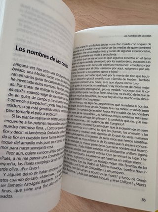 Las cosas importantes las aprendí en el parvulario