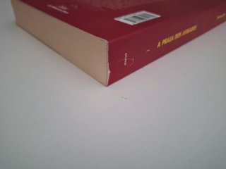 Libro A praia dos afogados. Domingo Villar