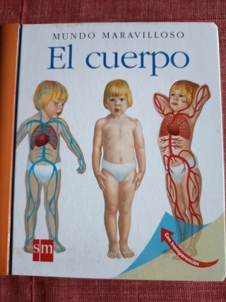 El cuerpo
