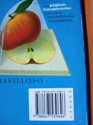 El cuerpo