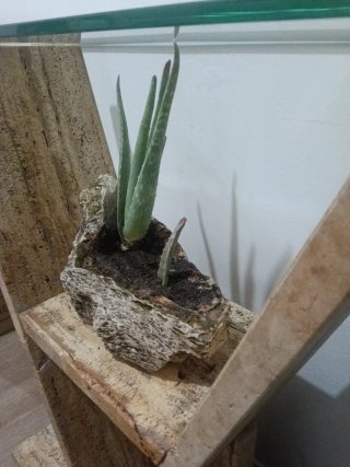 Macetero de piedra y madera