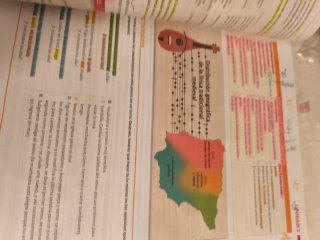 Lengua castellana y literatura, 1 BACH.