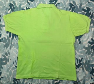 Lacoste Polo Verde Manzana Vintage