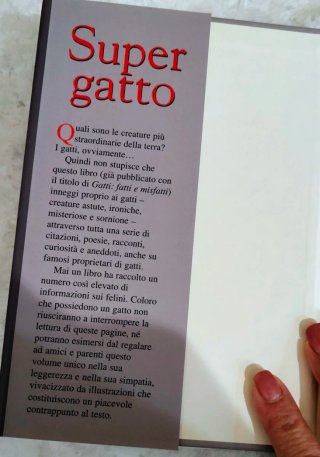Supergatto