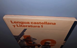 Lengua castellana y literatura 1, Bachillerato