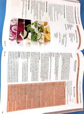 Lengua castellana y literatura 1, Bachillerato