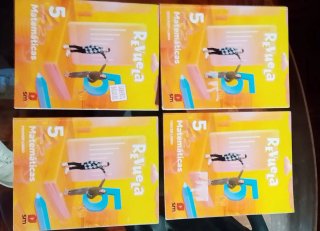 Libros 5° primaria matemáticas SM