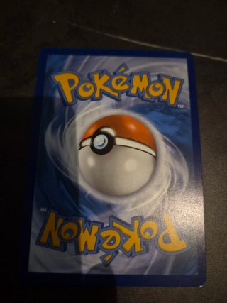Carta Pokémon Bulbasaur y Charmander